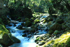 渓流散策