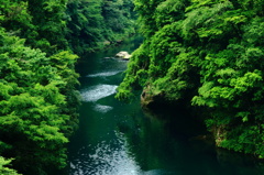 新緑の季節
