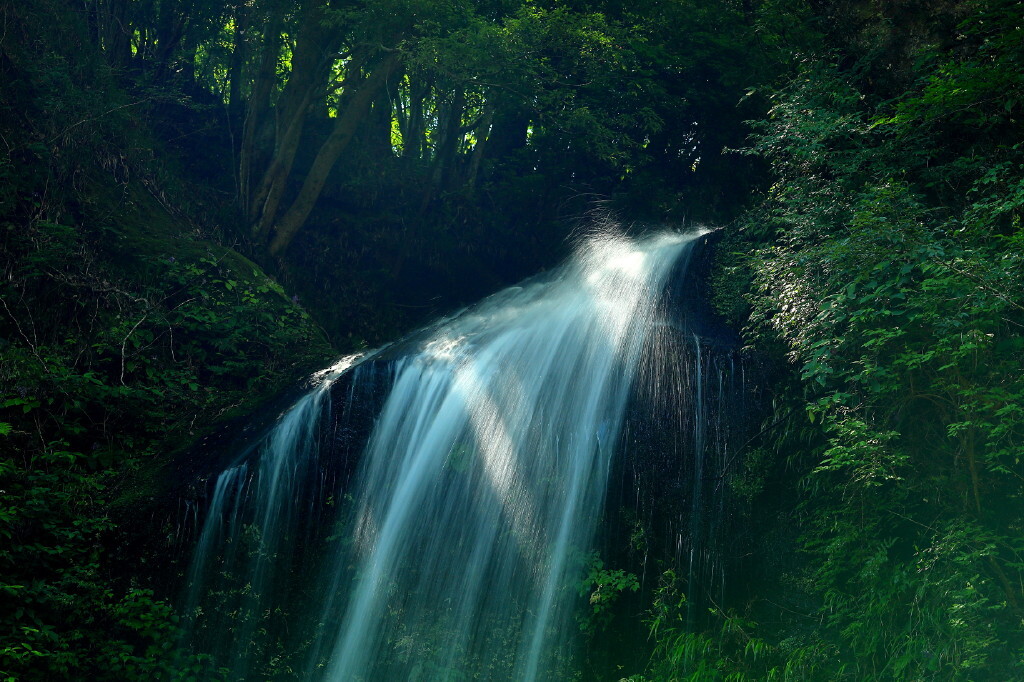 緑陰の流水