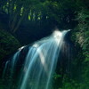 緑陰の流水