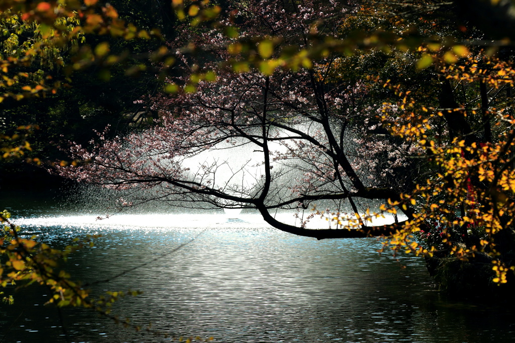 和の情景
