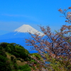 春季