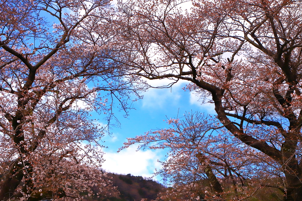 春景