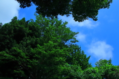 梅雨の中休み