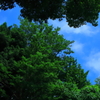 梅雨の中休み
