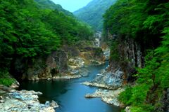 新緑の溪谷