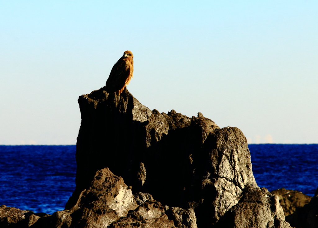 何を想う・・・・・