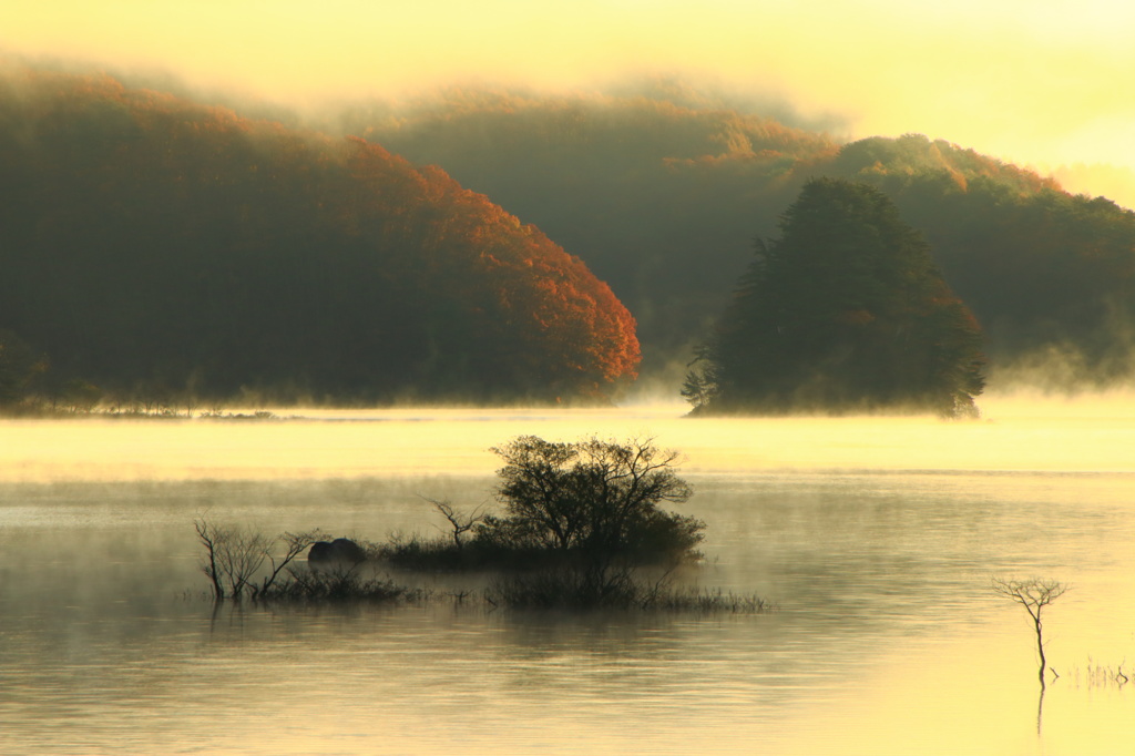 朝霧の湖