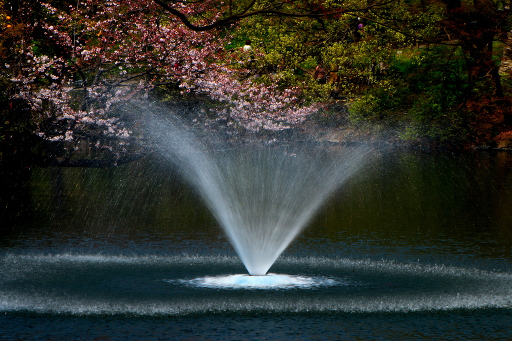 水温む季節