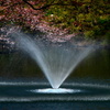 水温む季節