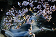 光華