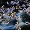 光華