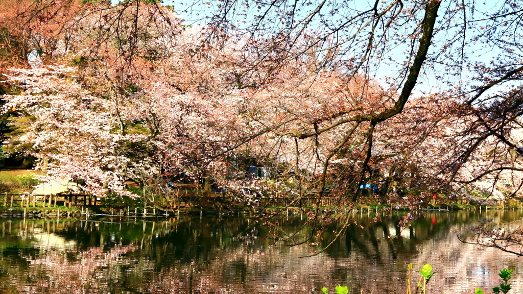 春の訪れ