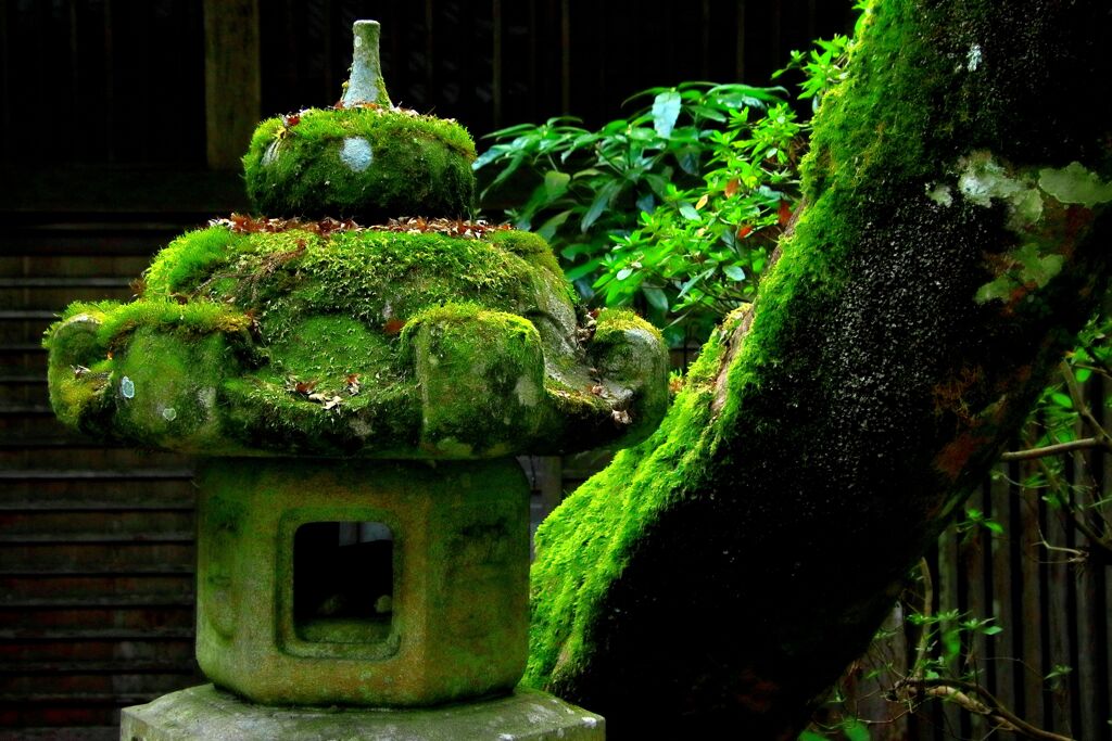 緑の陰