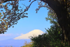 里の春 里の春