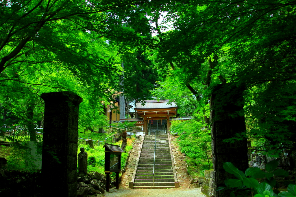 萌黄（もえぎ）の山門