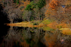 秋の池巡り