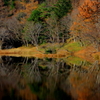 秋の池巡り