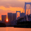 夕焼けの大橋