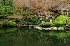 静かな一時