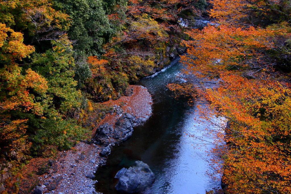 渓流の秋彩