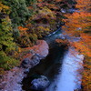 渓流の秋彩