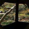 額の中の景色