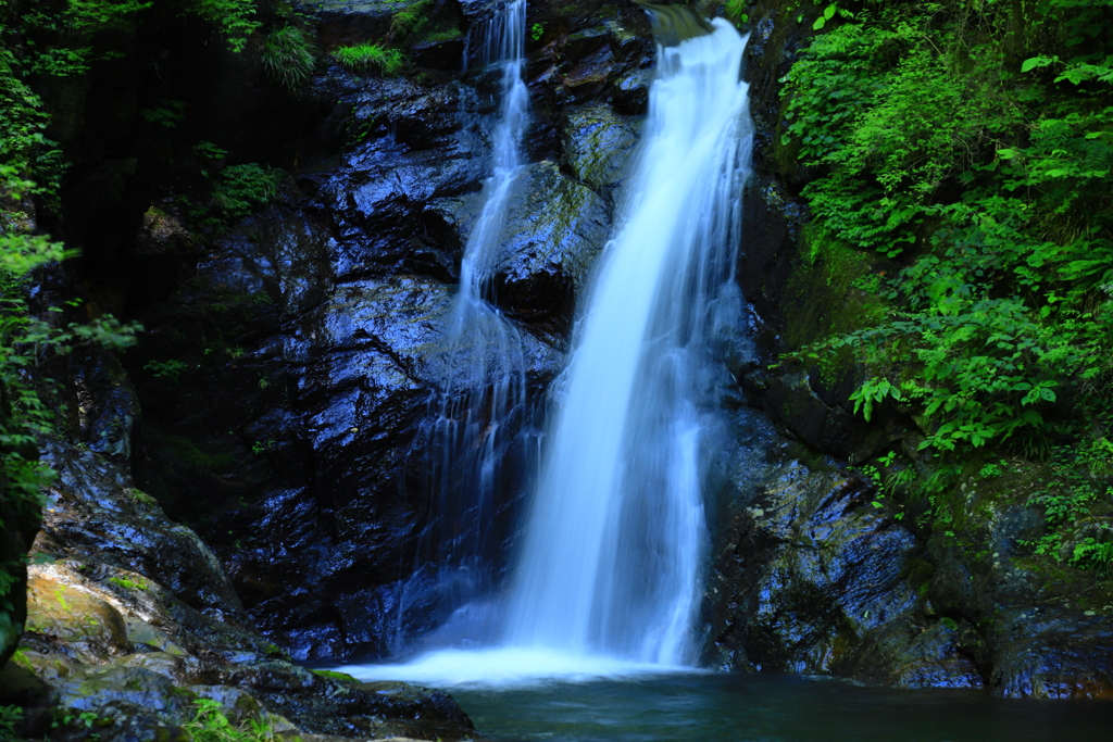 癒しの水音