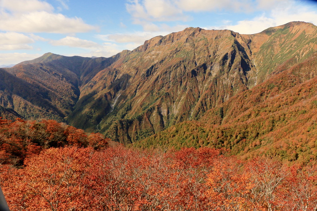 谷川岳山頂の紅葉
