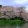 春の訪れ