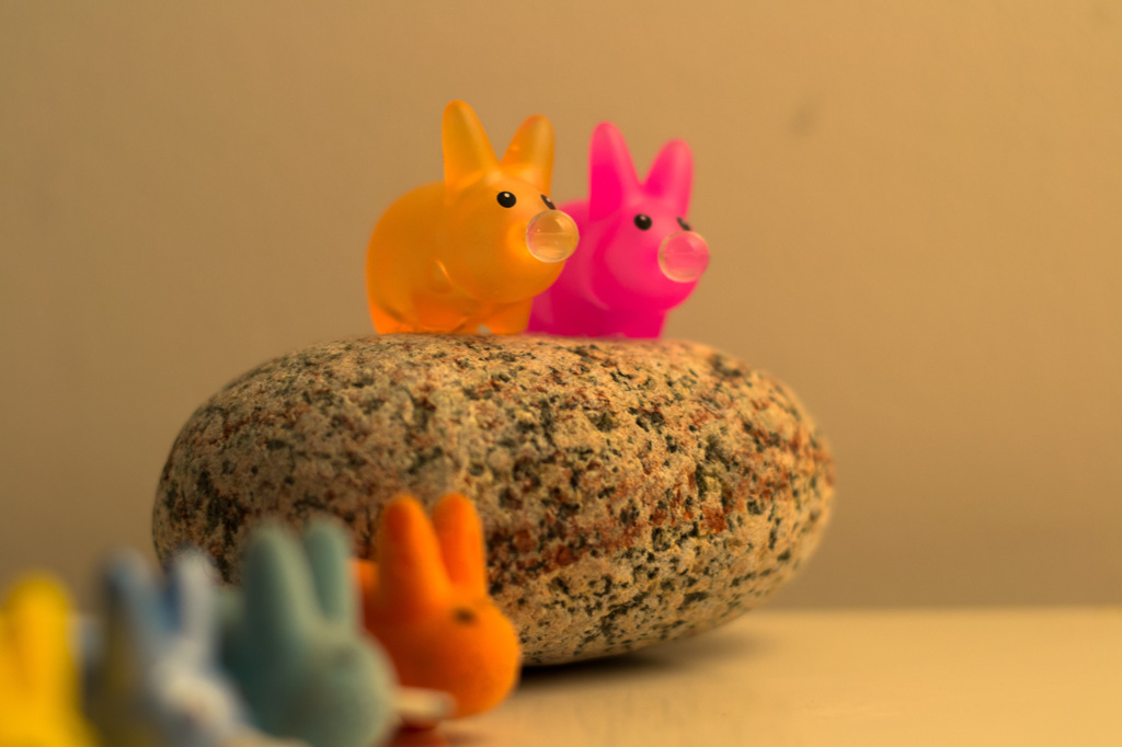 Smokin rabbit