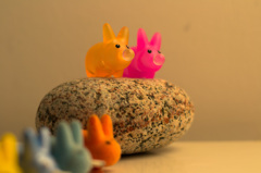 Smokin rabbit