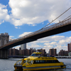 brooklyn bridge