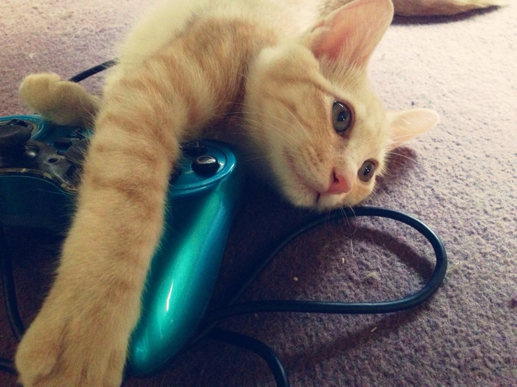 ゲーム禁止！