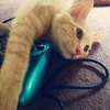 ゲーム禁止！