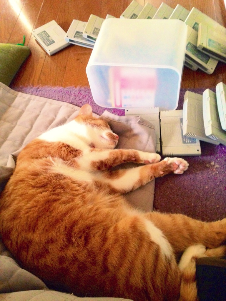 Zzz
