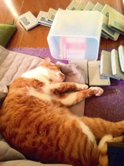Zzz