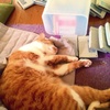 Zzz