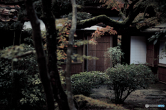 庭園