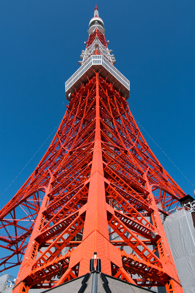 真っすぐ空へ