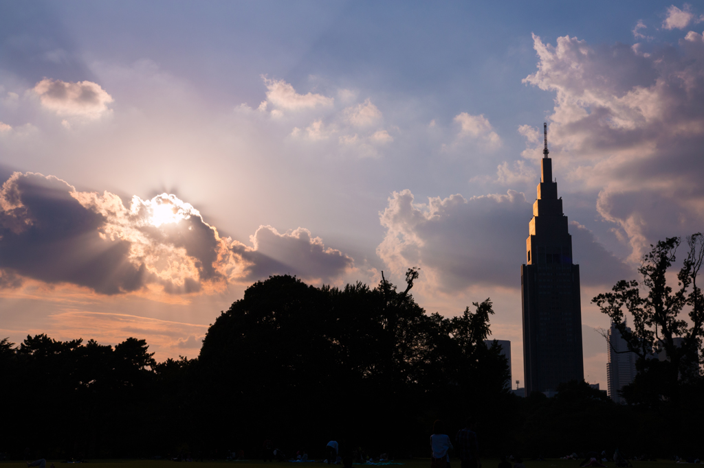 夕日に照らされて