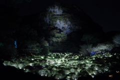 かみさまがすまう森のアート展
