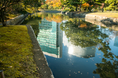 水の中のコンラッド