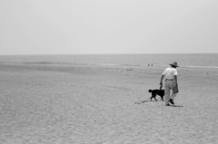 海と犬