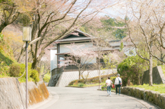 春を眺めて
