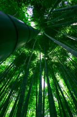 竹寺１