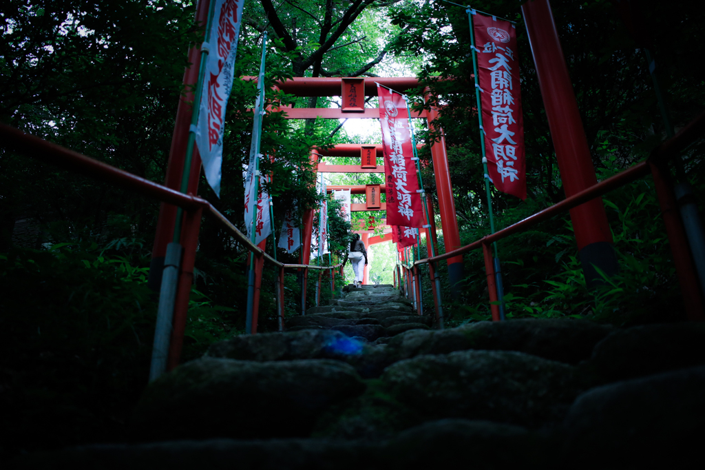 光に向かって