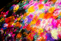かみさまがすまう森のアート展