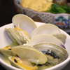ホンビノス貝