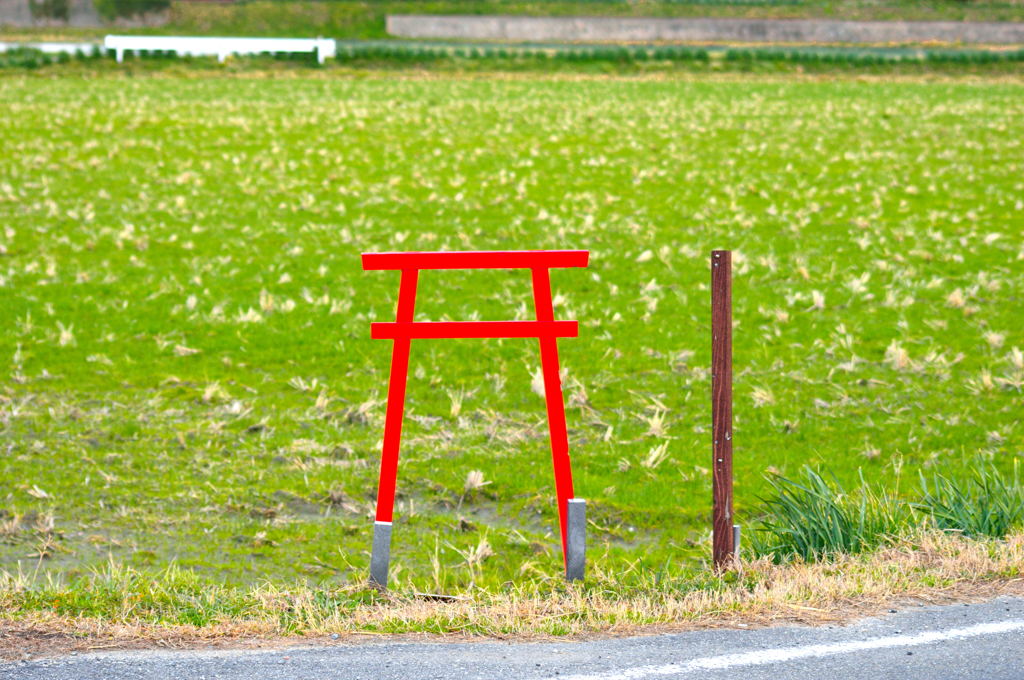 畑の角にミニ鳥居